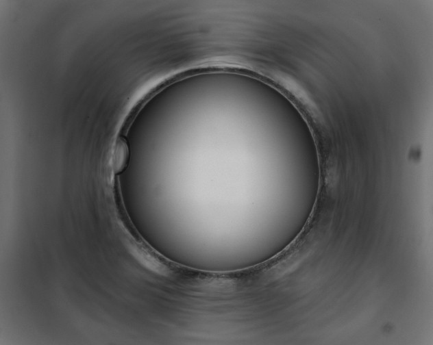 X0000101151372200807071139