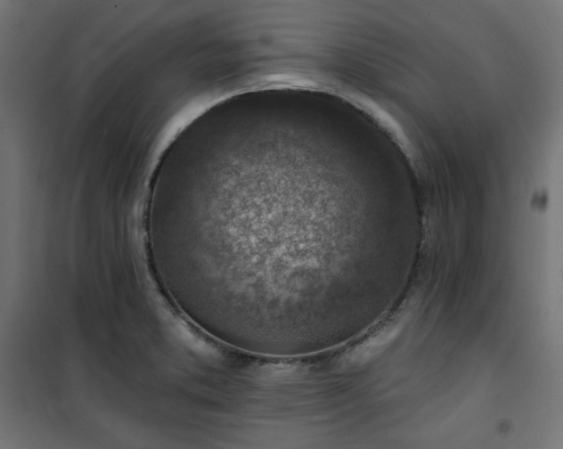 X0000101151373200807071139