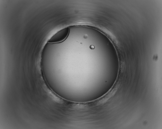 X0000101151374200807071139