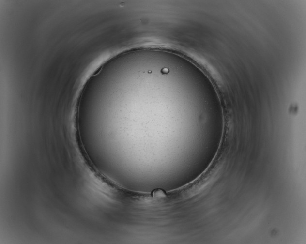 X0000101151375200807071139