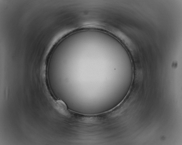 X0000101151376200807071139