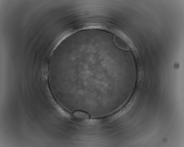 X0000101151377200807071139