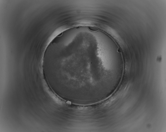 X0000101151378200807071139