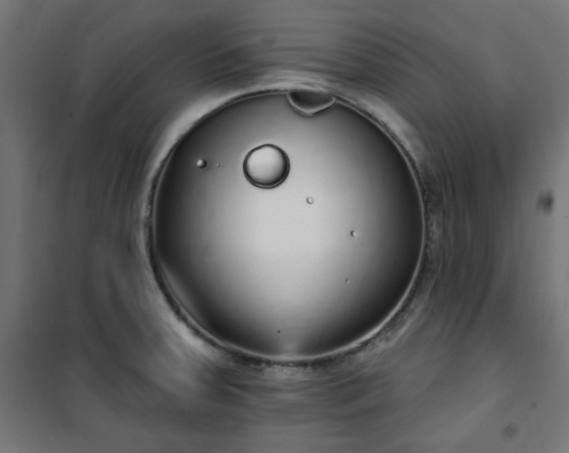 X0000101151379200807071139