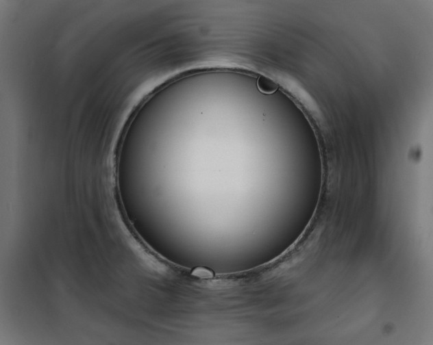 X0000101151380200807071139