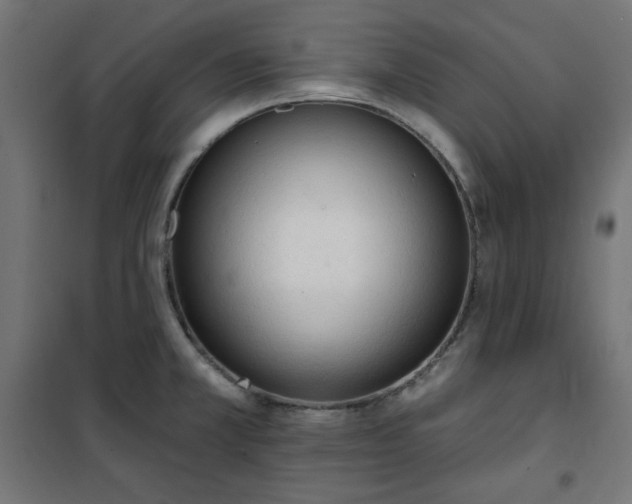 X0000101151381200807071139