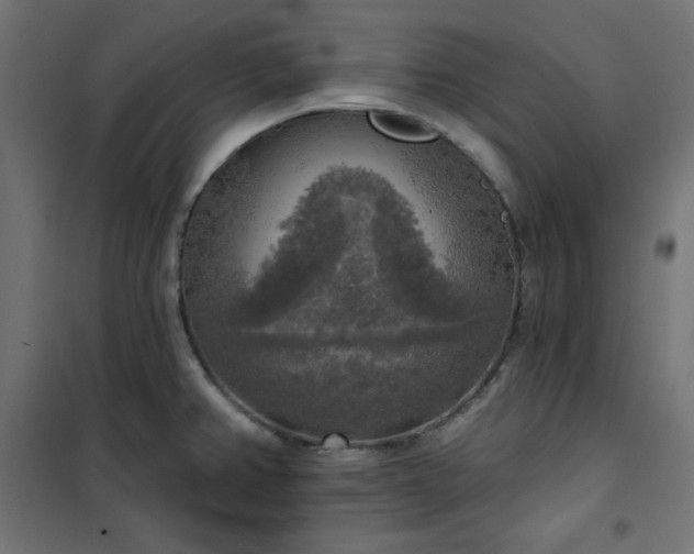 X0000101151382200807071139