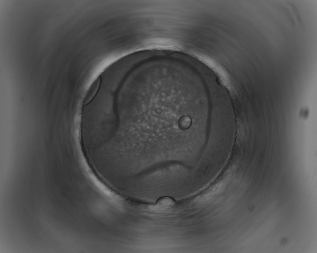 X0000101151383200807071139