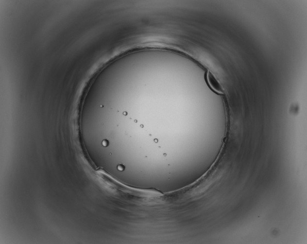 X0000101151384200807071139