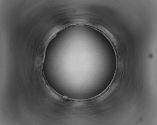 X0000101151385200807071139