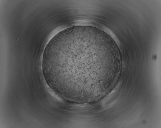 X0000101151386200807071139