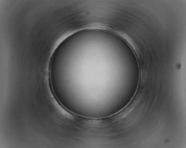 X0000101151387200807071139