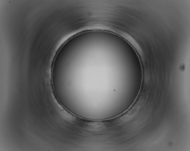 X0000101151388200807071139