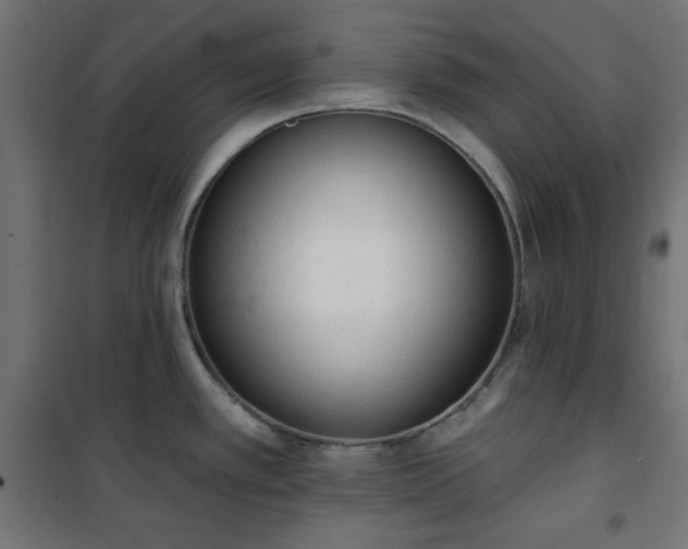 X0000101151389200807071139