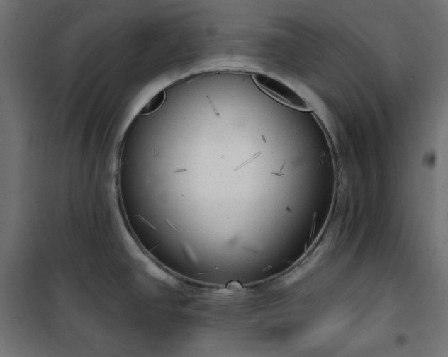 X0000101151390200807071139
