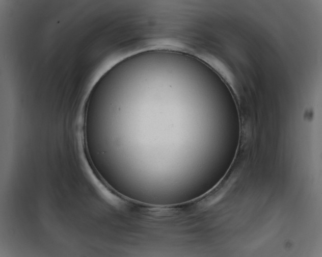 X0000101151391200807071139