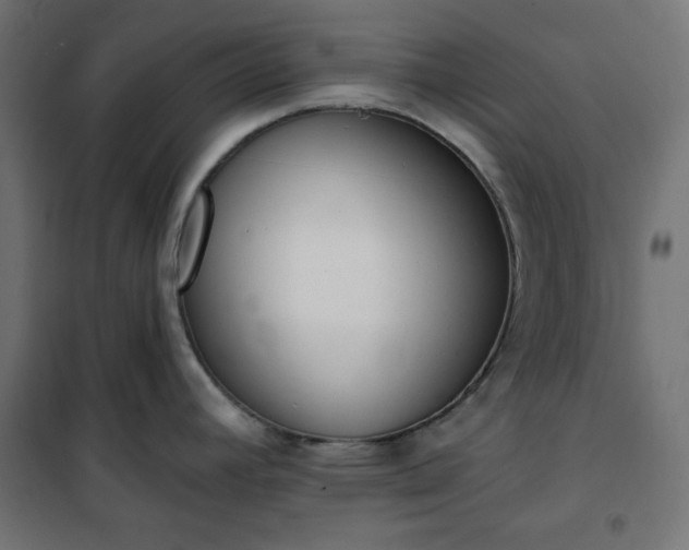 X0000101151392200807071139