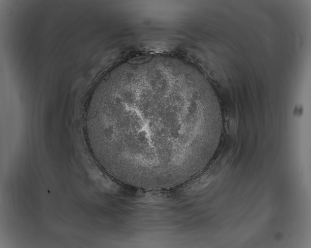 X0000101151393200807071138