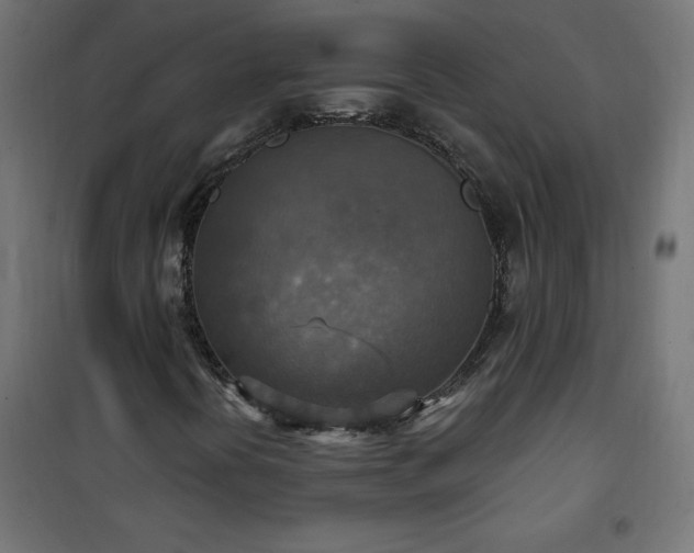 X0000101151394200807071138