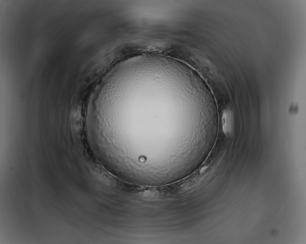 X0000101151395200807071138