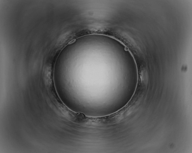 X0000101151396200807071138