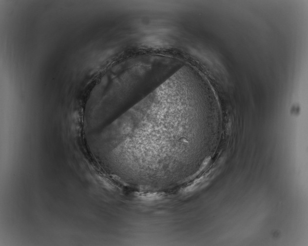 X0000101151397200807071138