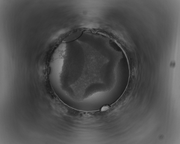 X0000101151398200807071138