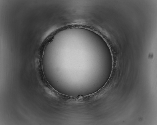 X0000101151400200807071138