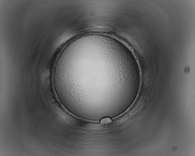 X0000101151402200807071138