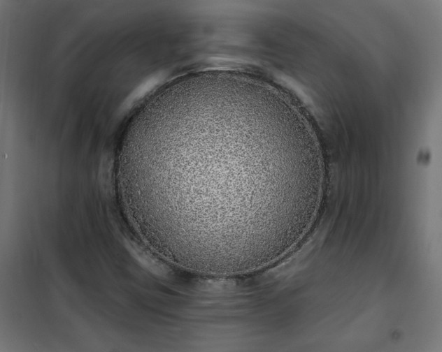 X0000101151403200807071138