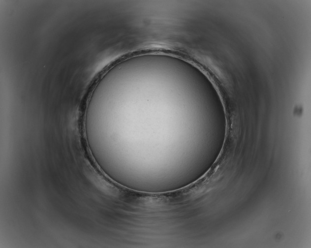 X0000101151404200807071138