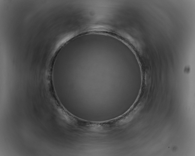 X0000101151405200807071138