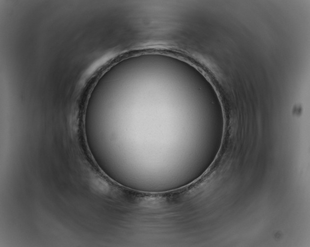 X0000101151406200807071138