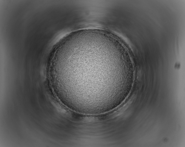 X0000101151407200807071138