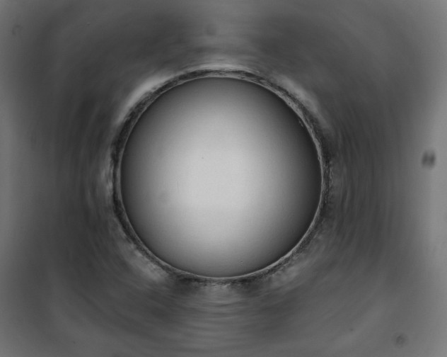 X0000101151408200807071138