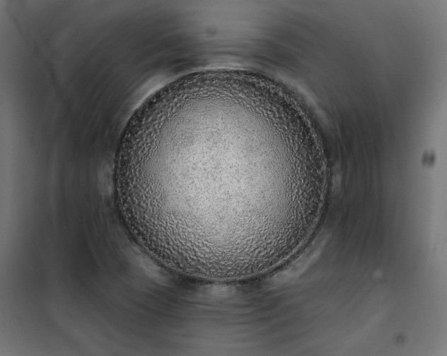 X0000101151409200807071138