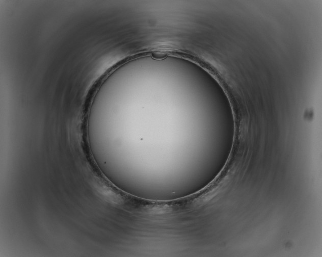 X0000101151410200807071138