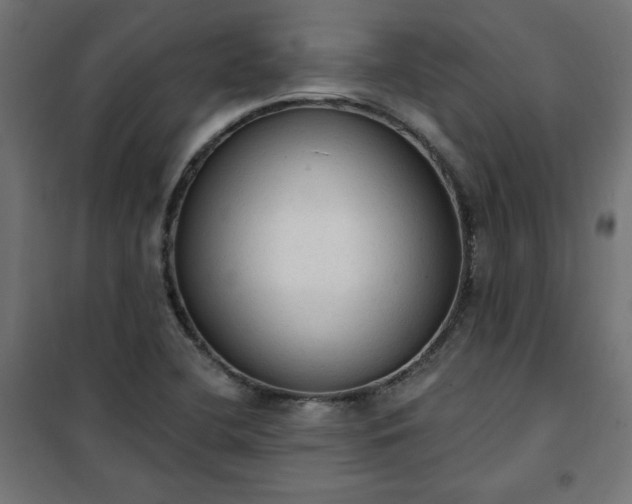 X0000101151412200807071138