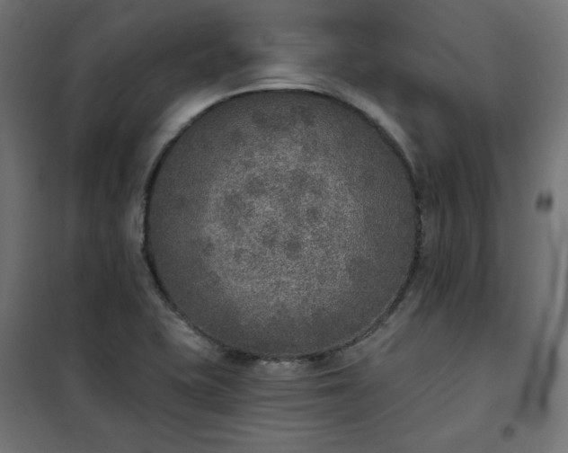 X0000101151415200807071138