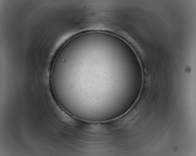 X0000101151416200807071138