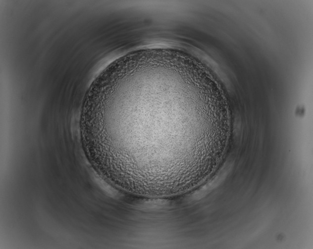 X0000101151417200807071138