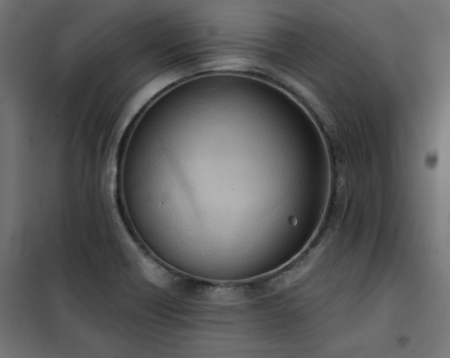 X0000101151418200807071138