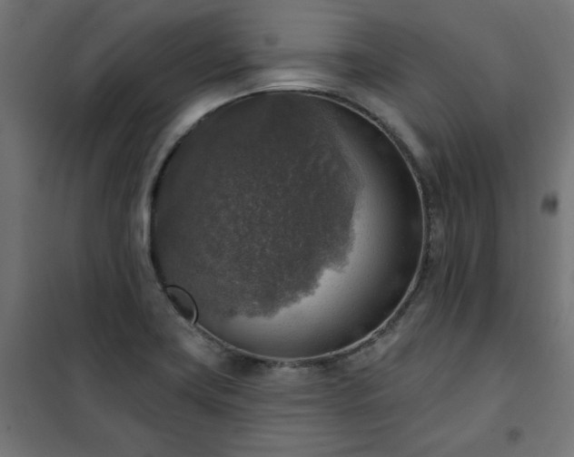 X0000101151419200807071138