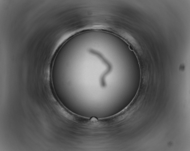 X0000101151420200807071138