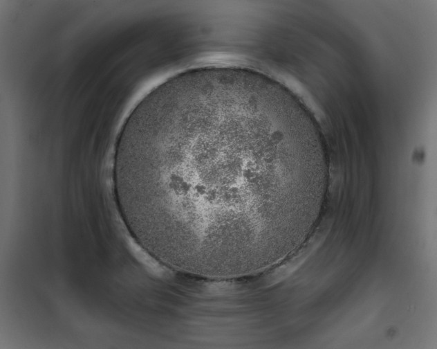 X0000101151421200807071139