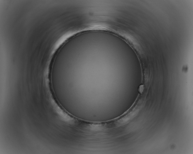 X0000101151422200807071139