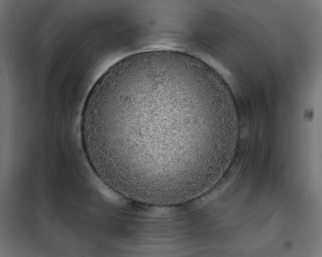 X0000101151423200807071139