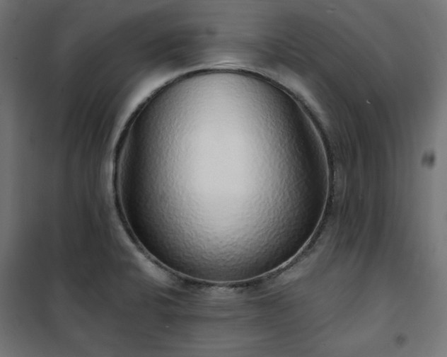 X0000101151424200807071139