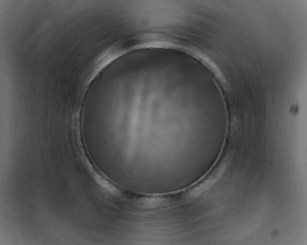 X0000101151425200807071139