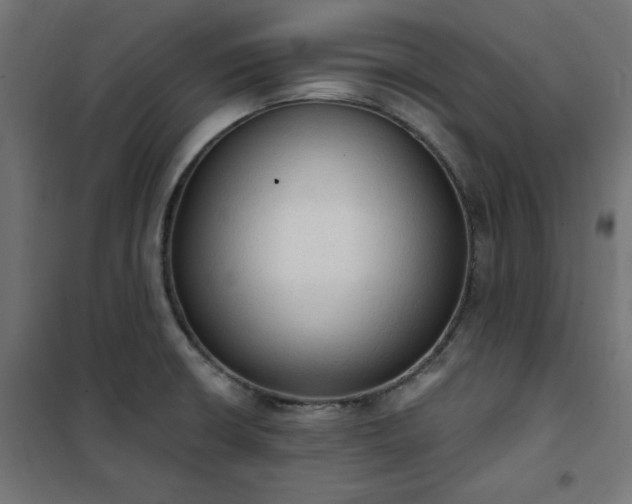 X0000101151426200807071139